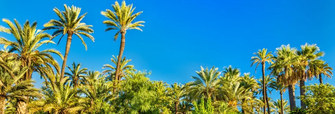 Meerblick aus Alicante in Spanien.